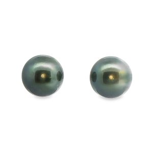 18ct Tahitian Pearl Stud Earrings